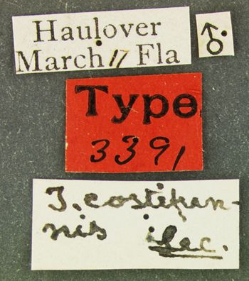 Media type: image;   Entomology 3391 Aspect: labels